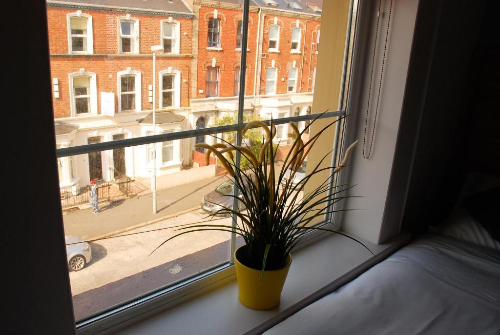 Botanic Rest Queens Quarter Belfast Oda fotoğraf